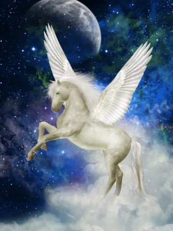 Produit Pegasus Image