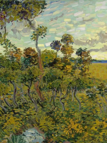 Produit Vincent Van Gogh - Coucher de Soleil à Montmajour, 1888 Image