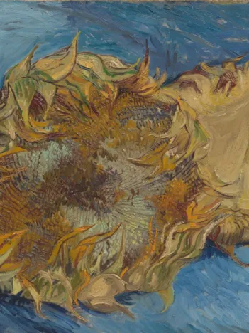 Produit Vincent Van Gogh - Tournesols, 1887 Image