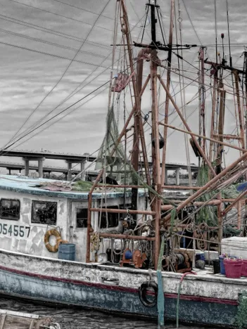 Produit Bateau de Pêche Image