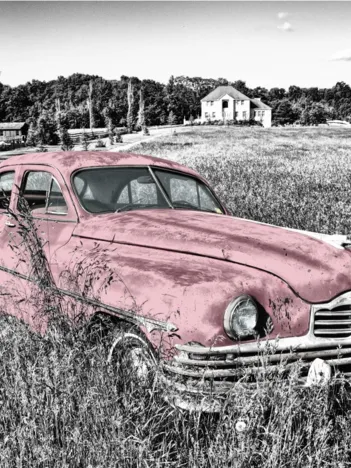 Produit Oldtimer - Rose Image