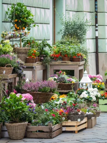 Produit Le Fleuriste et les Pots de Fleurs Image