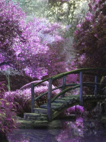 Produit Pont Zen Image