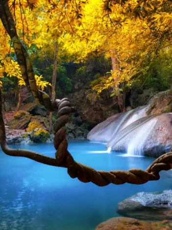 Produit Cascade en Forêt à l'Automne Image