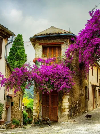 Produit Provence, France Image