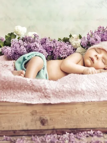 Produit Konrad Bak: Baby sleeping in the Lilac Image