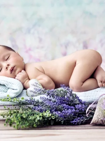 Produit Konrad Bak: Baby Lavender Image