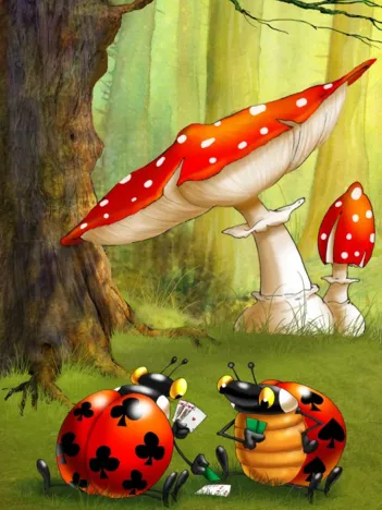 Produit François Ruyer - Poker des Coccinelles Image