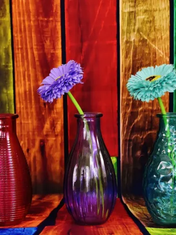 Produit Vases Fleuris et Colorés Image