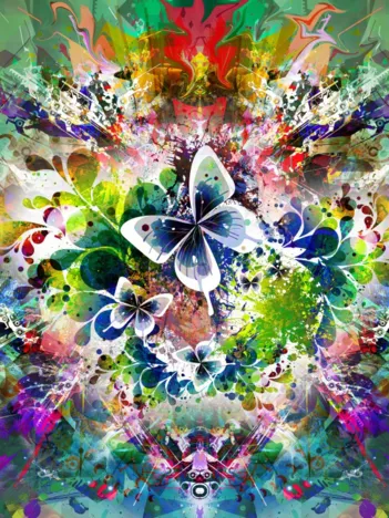 Produit Fleurs et Papillons de Printemps Image