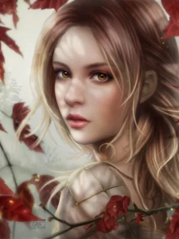 Produit Red Clover Image