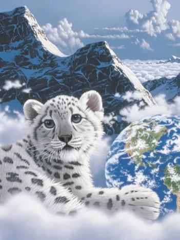 Produit Schim Schimmel - Bed of Clouds Image