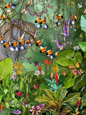 Produit François Ruyer - La Jungle 2 Image