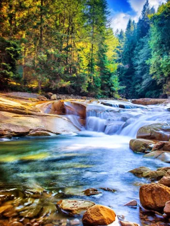 Produit Belle Cascade dans la Forêt Image