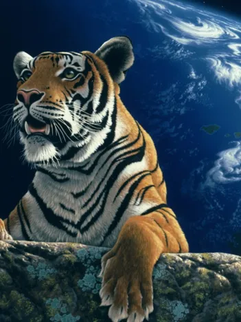 Produit Schim Schimmel - Only One Home Image