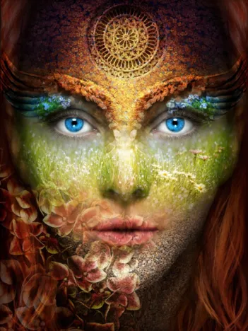 Produit Femme Nature Image