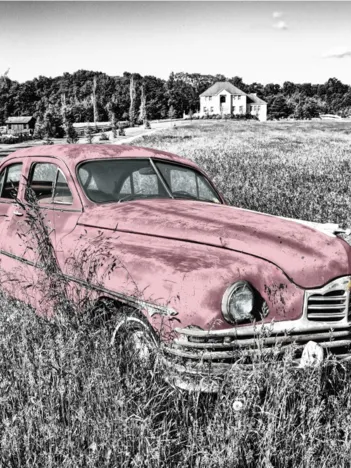Produit Oldtimer - Rose Image
