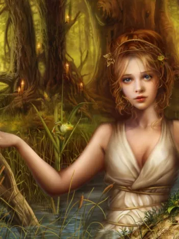 Produit Never After Image