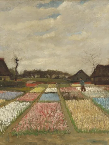 Produit Vincent Van Gogh - Flower Beds in Holland, 1883 Image