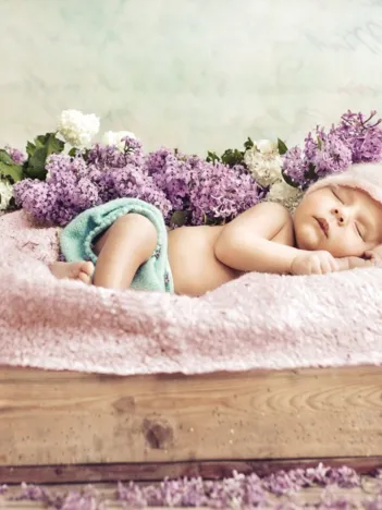 Produit Konrad Bak: Baby sleeping in the Lilac Image