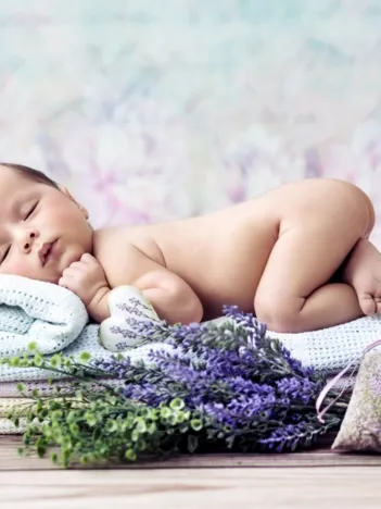 Produit Konrad Bak: Baby Lavender Image