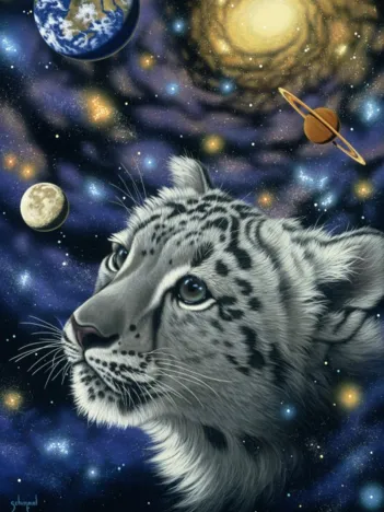 Produit Schim Schimmel - One with the Universe Image