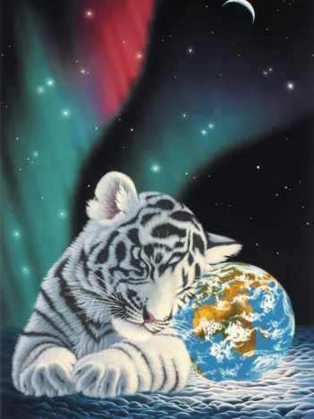 Produit Schim Schimmel - Earth Light Image