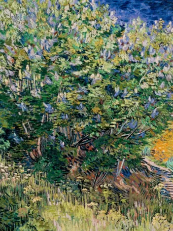Produit Vincent Van Gogh - Lilas, 1889 Image