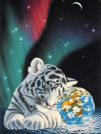 Produit Schim Schimmel - Earth Light Image