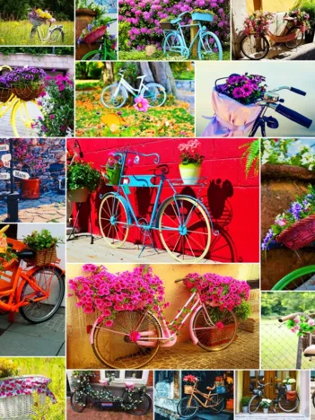 Produit Collage - Vélos Image