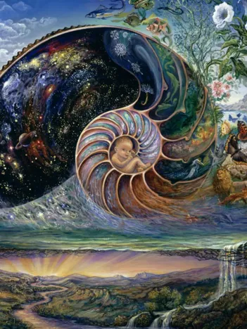 Produit Josephine Wall - Nautilus Image