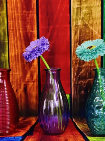 Produit Vases Fleuris et Colorés Image