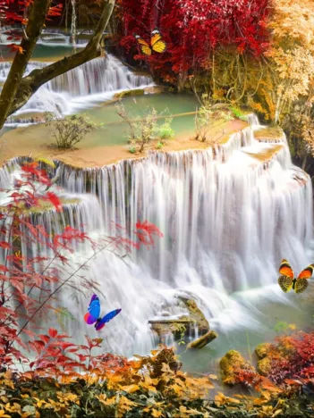 Produit Deep Forest Waterfall Image