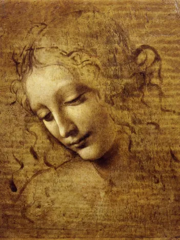 Produit Léonard de Vinci : Visage de Giovane Fanciulla, 1508 Image