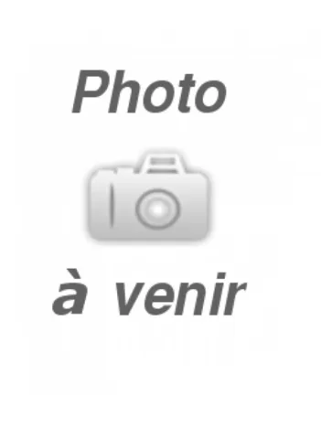 Produit Eiffel Tower at The Seine Image