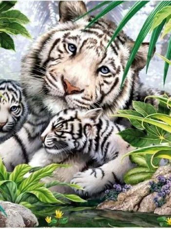 Produit Tigre de Sibérie Image