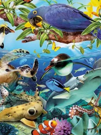 Produit Merveilles Animales Image