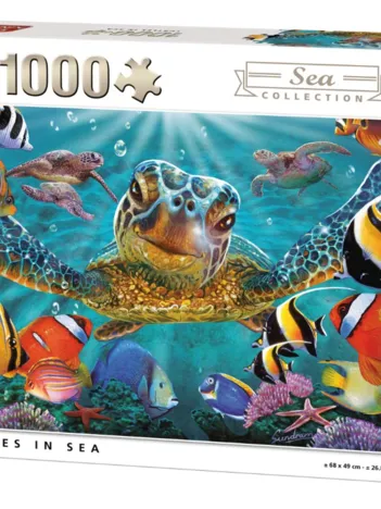 Produit Tortues Image