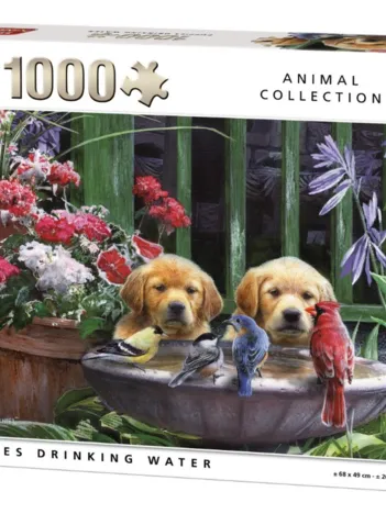 Produit Puppies drinking Water Image