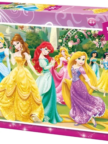 Produit Disney Princesses Image