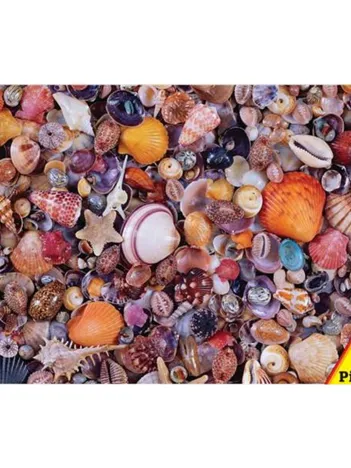 Produit Pêle-mêle de coquillages Image