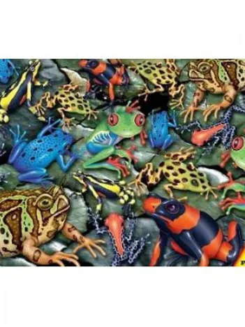 Produit Grenouilles Image