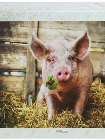 Produit 2019, Année du Cochon Image