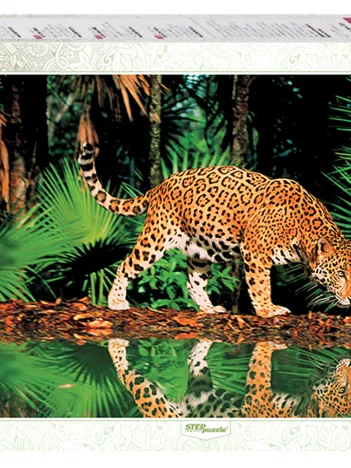 Produit Léopar Image