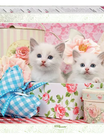 Produit Chatons Image