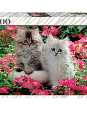 Produit Chatons Image