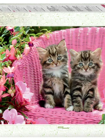 Produit Chatons Mignons Image