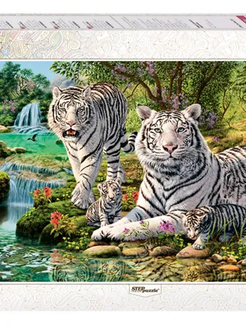 Produit Combien de Tigres ? Image