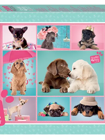 Produit Studio Pets Image