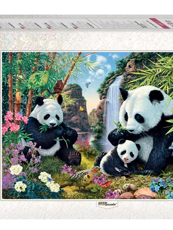 Produit Pandas Image